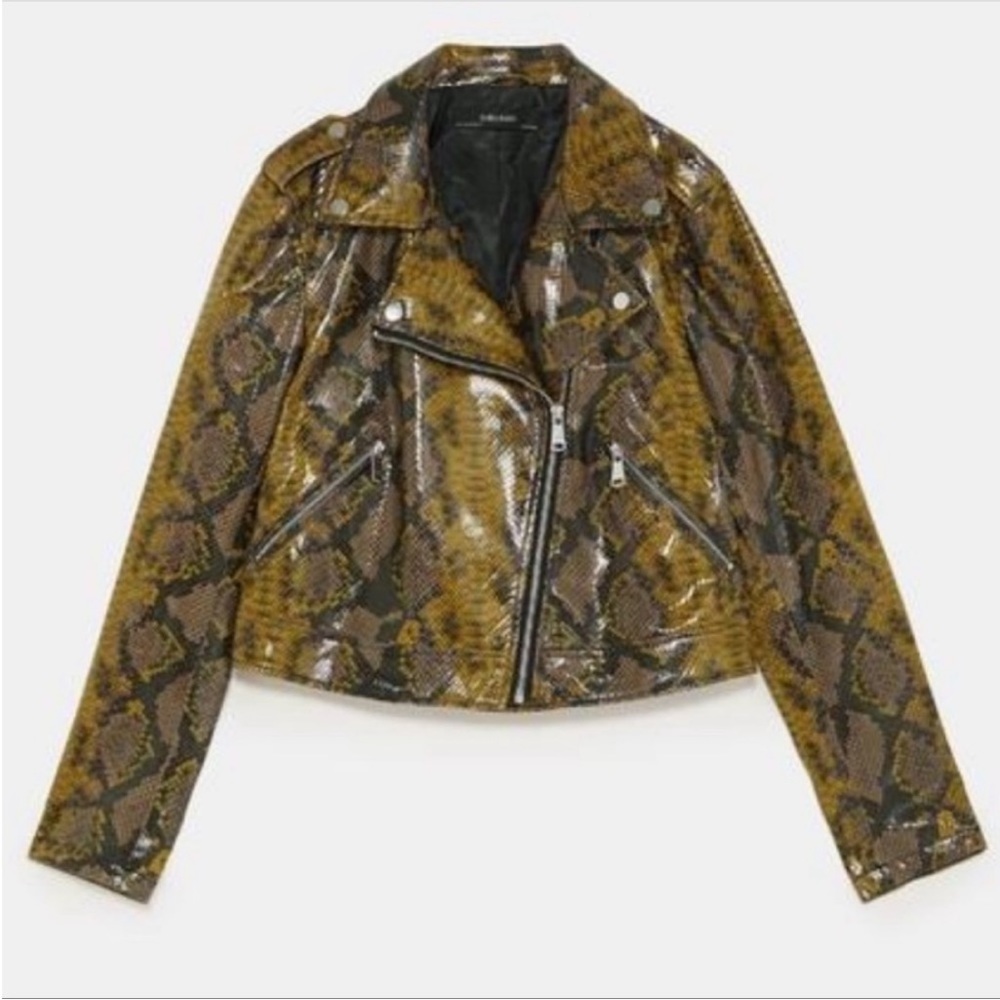 Zara Snakeskin Print Biker Moto Jacket L